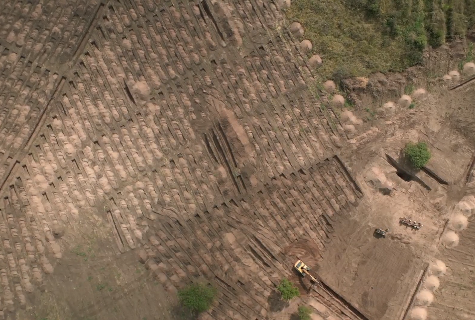 Hallazgos que alumbran verdad y esperanza