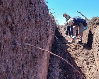 Hallazgos para el Nunca Más