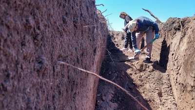 Hallazgos para el Nunca Más
