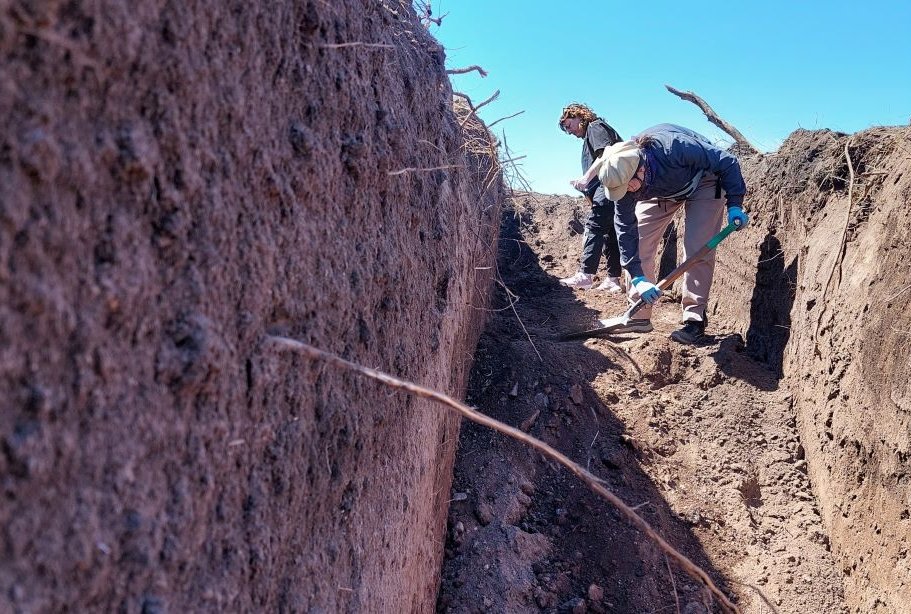 Hallazgos para el Nunca Más
